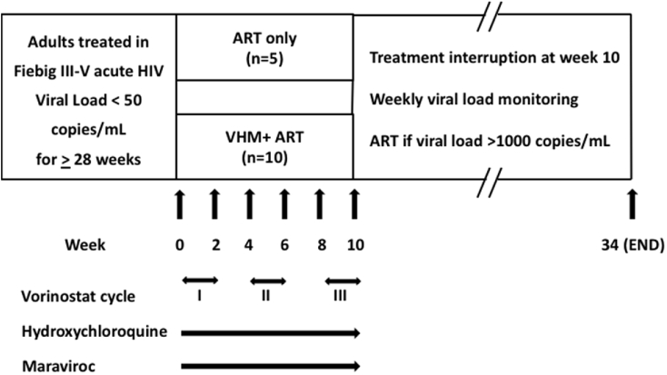 Fig. 1