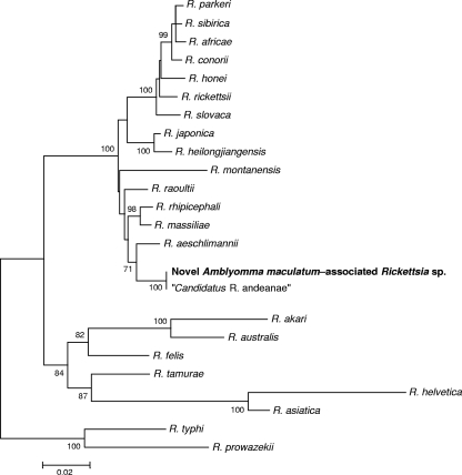 FIG. 2.