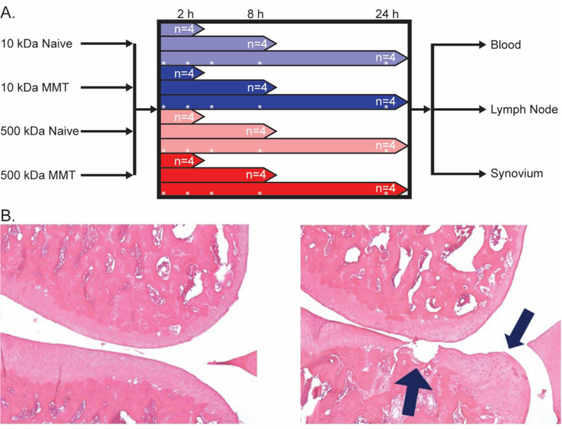 Figure 1: