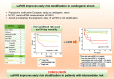 Graphical Abstract