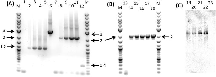 Fig. 2.