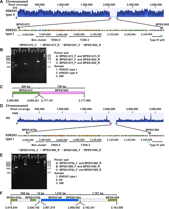 Fig 4