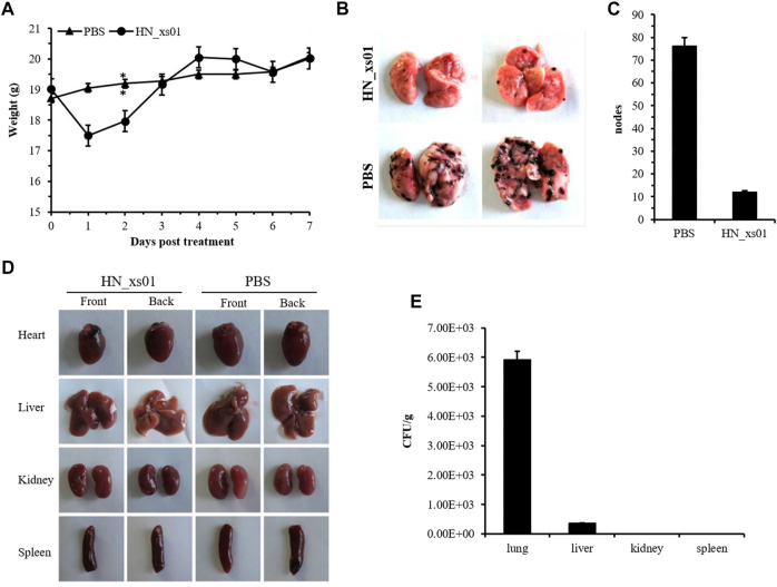 FIGURE 4