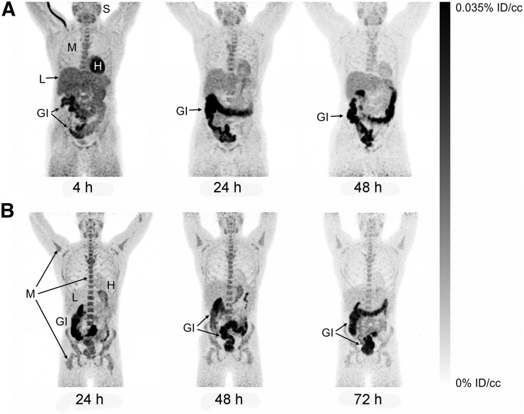 FIGURE 1.