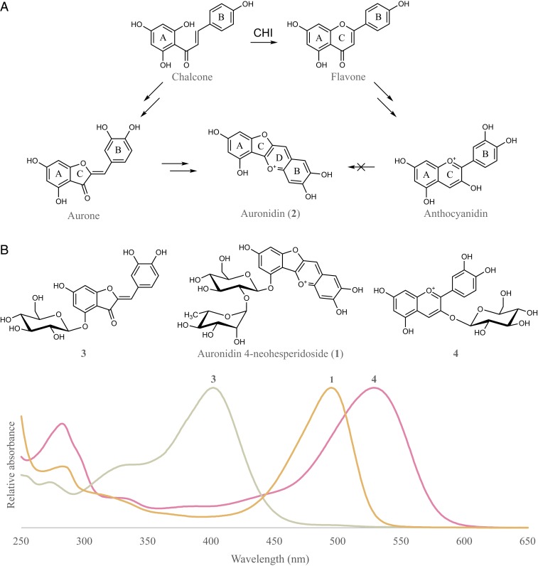 Fig. 2.