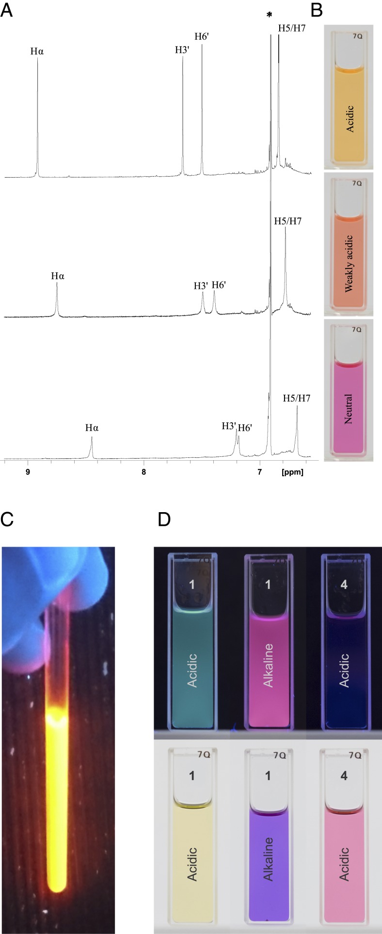 Fig. 3.