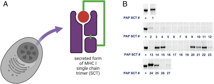 Fig. 3.