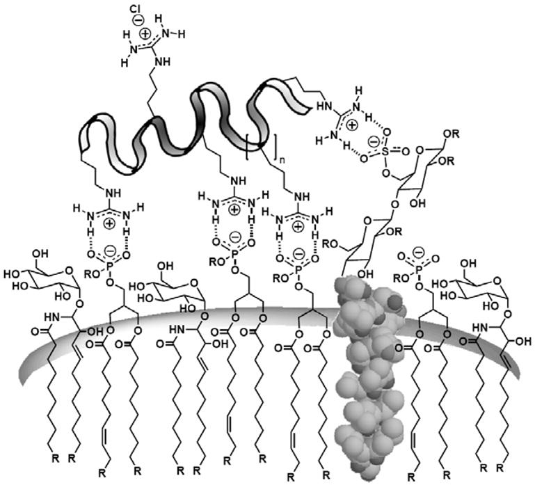 Fig. 9