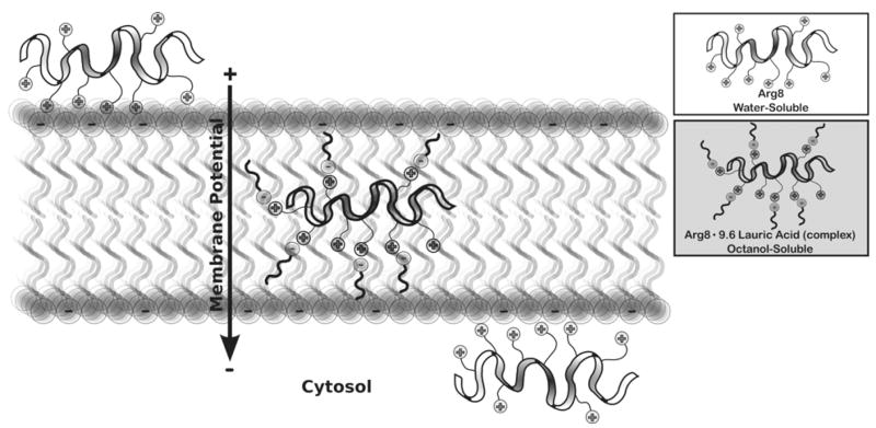 Fig. 12