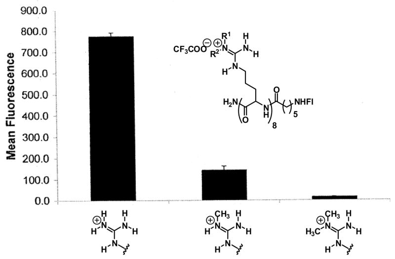 Fig. 10