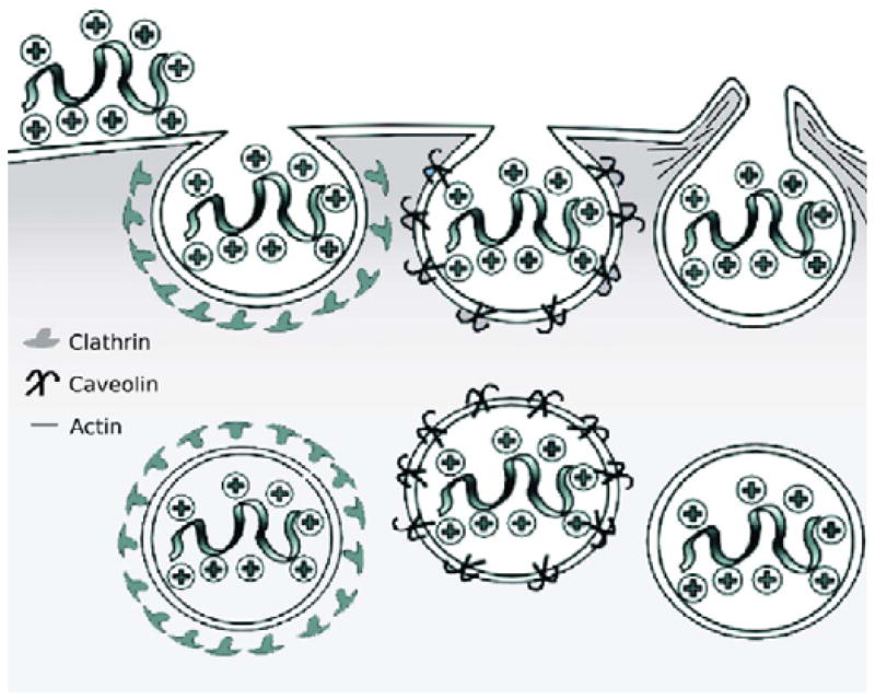 Fig. 11