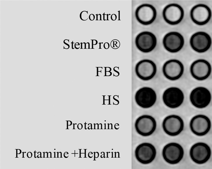 Figure 5a: