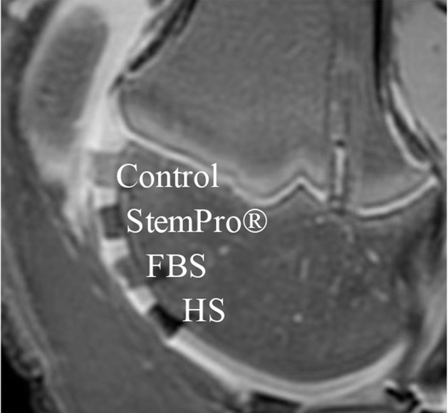 Figure 5c: