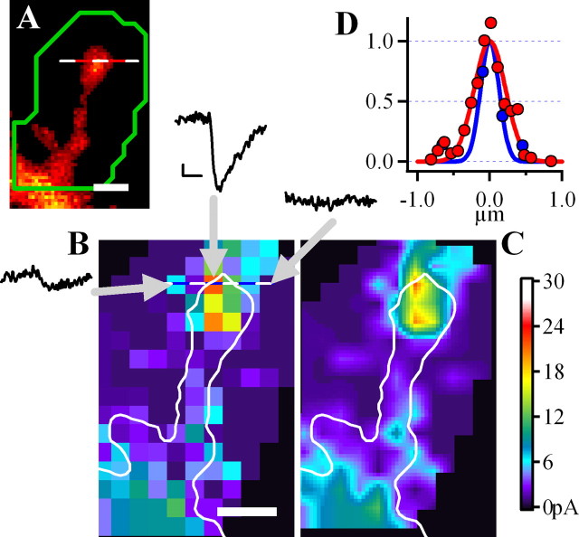 Figure 2.