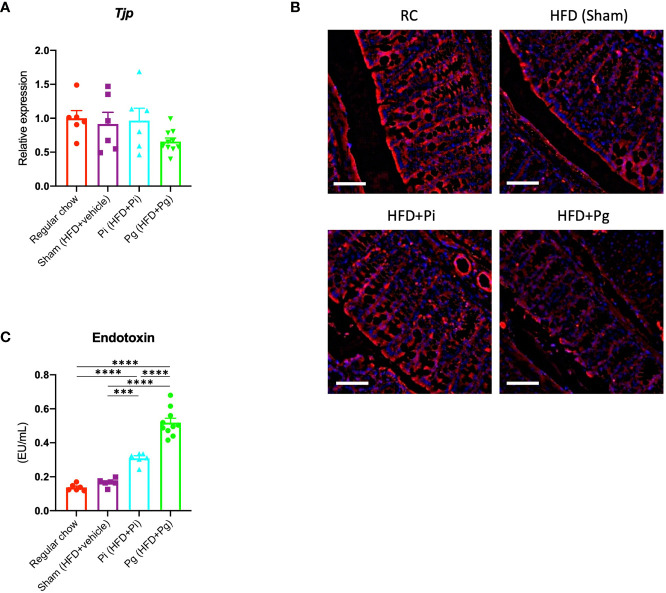 Figure 3