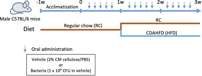 Figure 1