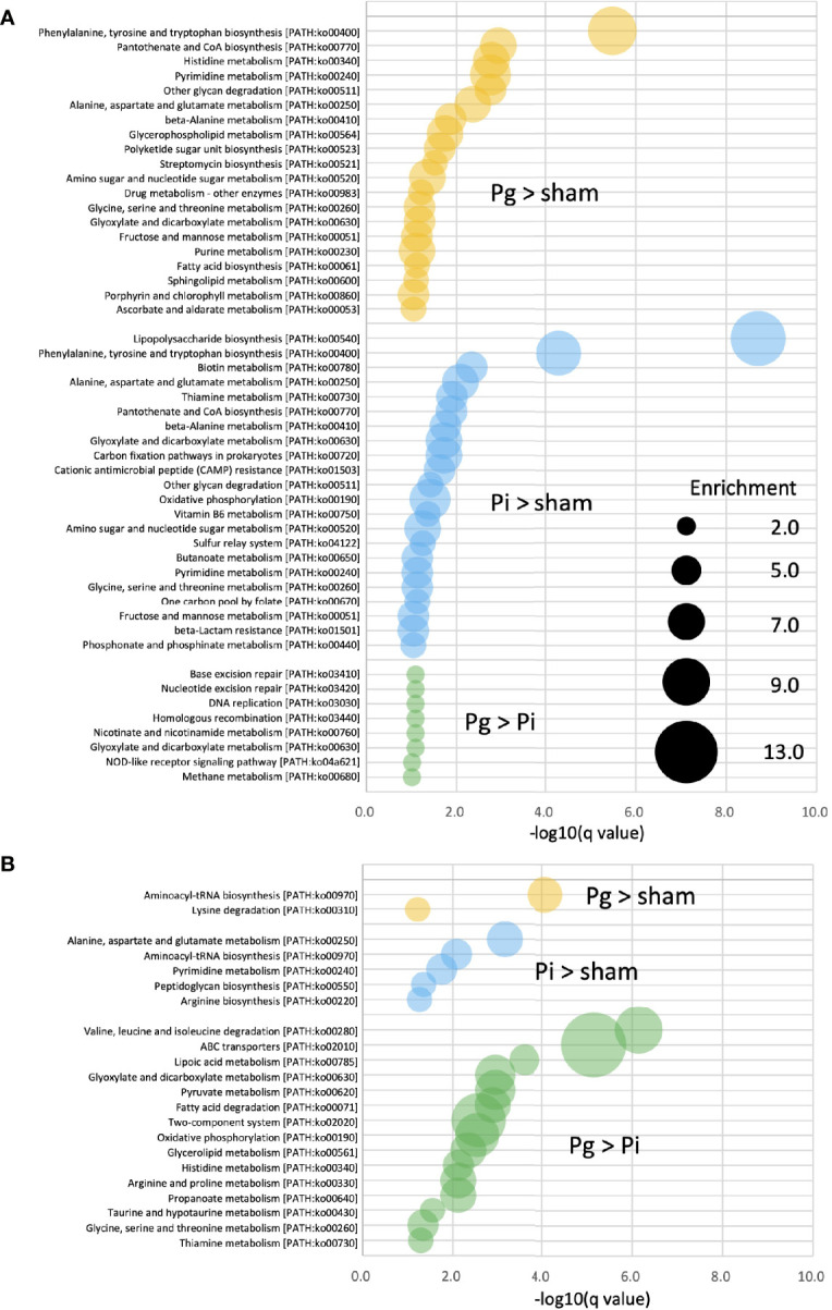 Figure 6