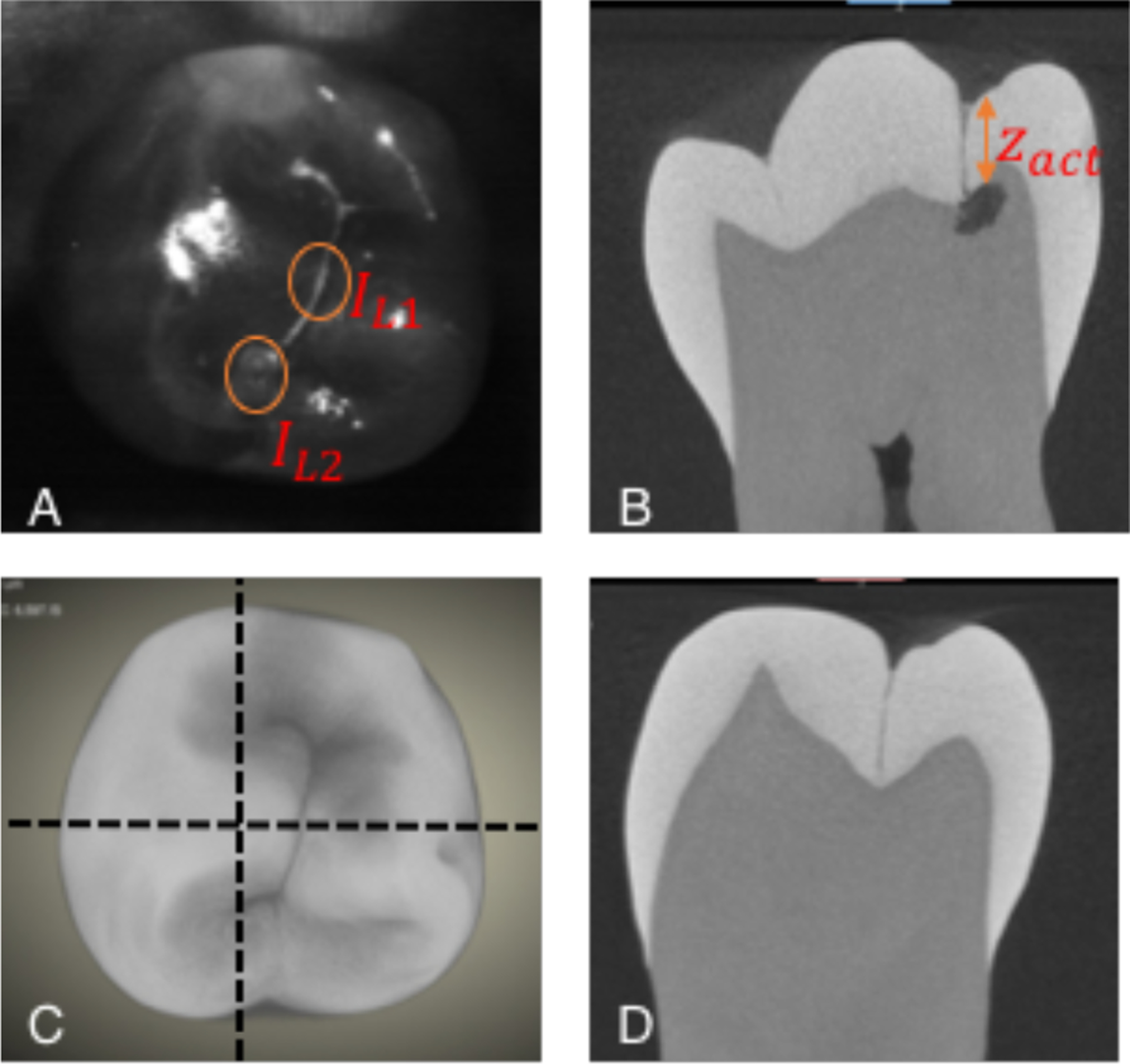 Fig 2.