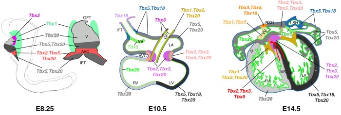 Fig. 5.