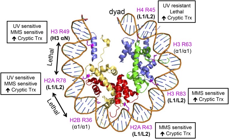 Figure 6