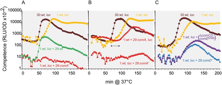 Fig 6