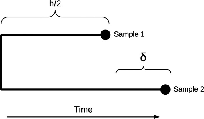 Scheme 1.