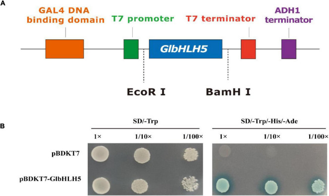 FIGURE 3