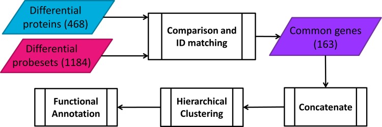 FIG. 1.