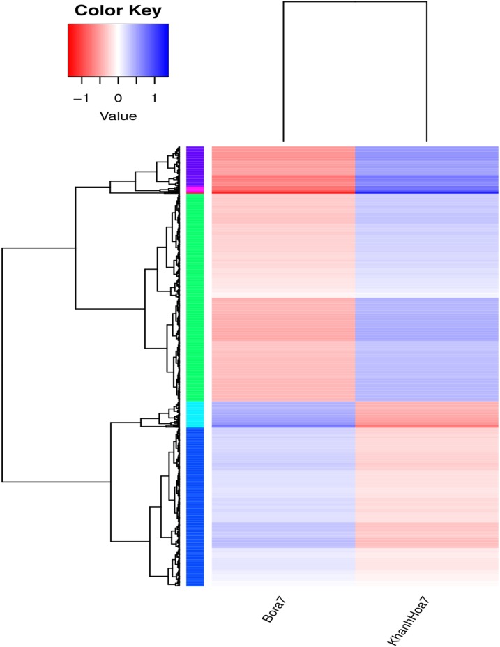 Figure 3.