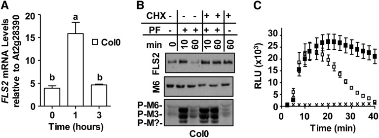 Figure 7.