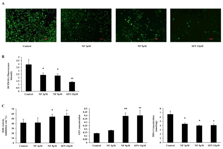 Figure 3.