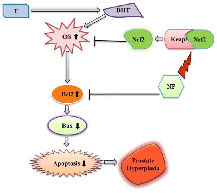 Figure 6.