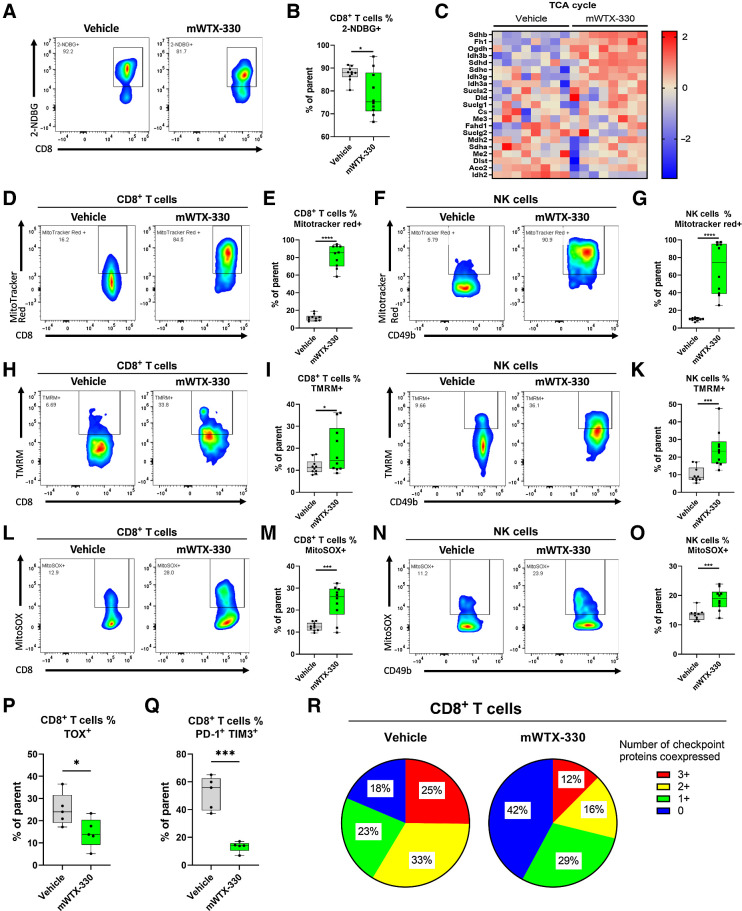 Figure 5. mWTX-330 treatment drives increased mitochondrial respiration and fitness. EMT-6 tumor-bearing mice were dosed twice a week with mWTX-330 or vehicle with n = 5–10 animals per group, and tumors were collected on day 11 for analysis. A and B, EMT-6 TILs from either vehicle-treated or mWTX-330–treated animals were incubated with 2-NDBG, and uptake was measured by flow cytometry. Pathway analysis was performed on tumor-infiltrating CD8+ T cells and heat maps of genes associated with the TCA cycle (C) was generated (Supplementary Table S4). EMT-6 infiltrating CD8+ T cells (D, E, H, I, L, M) or NK cells (F, G, J, K, N, O) from either vehicle-treated or mWTX-330–treated animals were stained with Mitotracker Red (D–G), TMRM (H–K), or MitoSOX (L–O). EMT-6–infiltrating CD8+ T cells were assessed on day 11 for expression of TOX (P), coexpression of PD-1 and TIM-3 (Q), or coexpression of PD-1, TIM-3, and LAG-3 (R). Data are presented using a box and whiskers plot, where the box represents the 25th to 75th percentile, and the middle line represents the mean. P values are derived from t tests. *, P < 0.05; **, P < 0.01; ***, P < 0.001; ****, P < 0.0001.