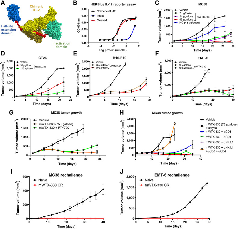 Figure 1. mWTX-330 generates robust antitumor immunity in a cleavage-dependent manner. A, The components of mWTX-330, including chimeric IL-12 (yellow), a half-life extending HSA-specific single-domain antibody (blue), the activity blocking Ab domain (teal), and the protease-cleavable linkers (red). B, In vitro activity of mWTX-330 in the HEK-Blue IL-12 reporter assay comparing intact (blue) and protease-activated (cleaved) mWTX-330 (red) to chimeric IL-12 (black), where error bars represent the mean (± SD) for duplicate wells. Tumor growth curves of MC38 (C), CT26 (D), B16-F10 (E), or EMT-6 (F) tumors. Mice were dosed twice a week for 2 weeks, with the specific doses reported in the figure, using between 8 and 12 mice per group. In some experiments, mice were treated with a NC variant of mWTX-330 (C; NC, blue). G, MC38 tumor bearing mice were treated with mWTX-330 ± daily FTY720 treatment, and tumor growth was monitored over time. H, MC38 tumor bearing mice were dosed twice a week with depleting antibodies in conjunction with mWTX-330, and tumor growth was monitored over time. Mice that completely rejected either MC38 tumors (I) or EMT-6 tumors (J) were rechallenged with the same tumor cell line at least 60 days after complete rejection of the primary tumor. As a control, age-matched, tumor naïve animals were also challenged, and tumor growth was monitored over time. In all tumor plots, average tumor volume (± SEM) over time is reported.