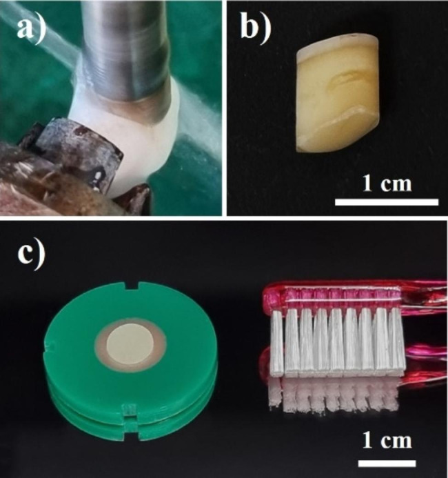 Fig. 1