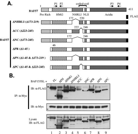 FIG. 6.