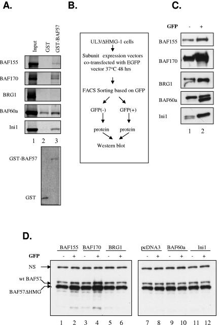 FIG. 3.