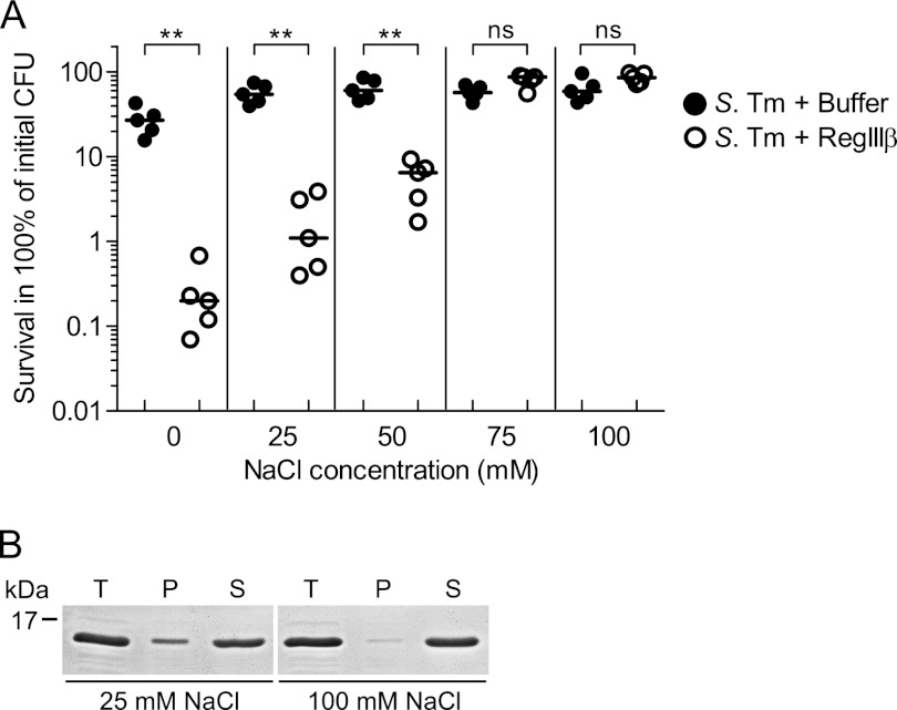 FIGURE 9.