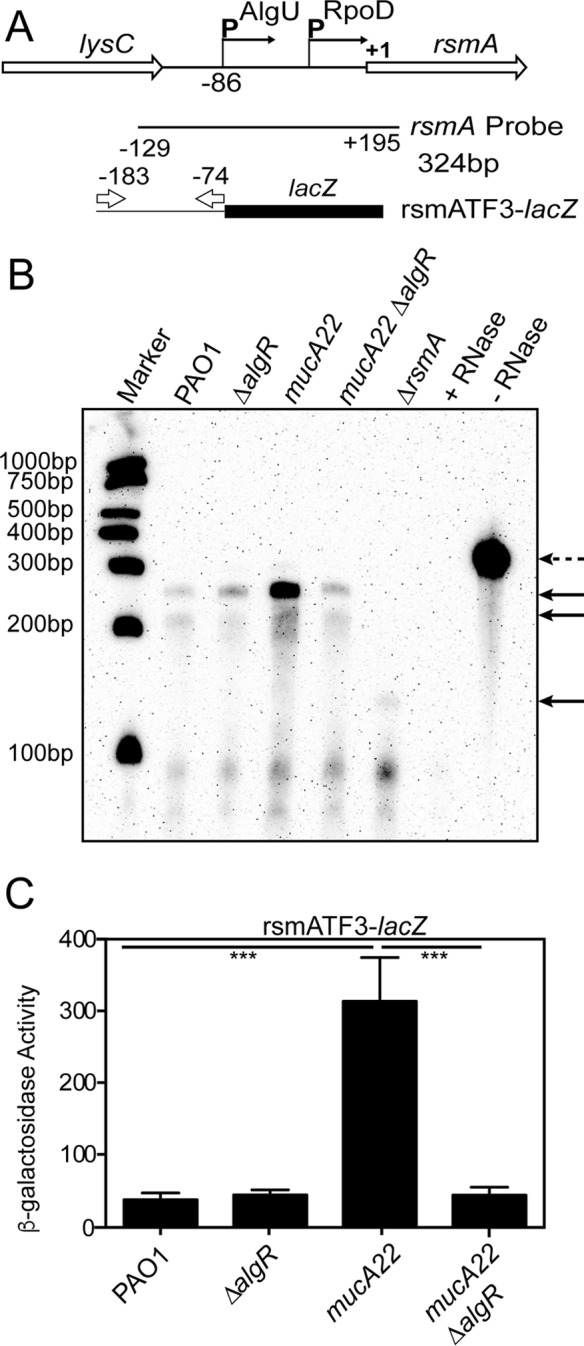 FIG 3