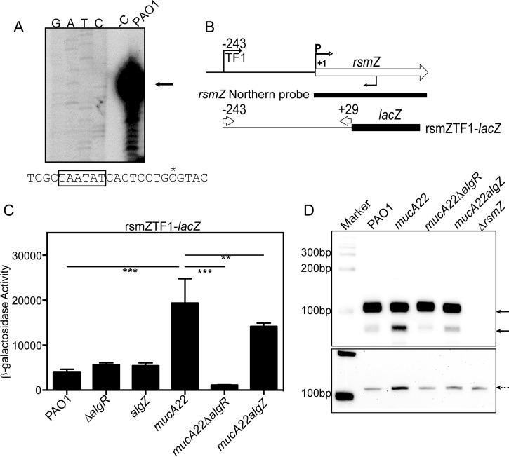 FIG 6