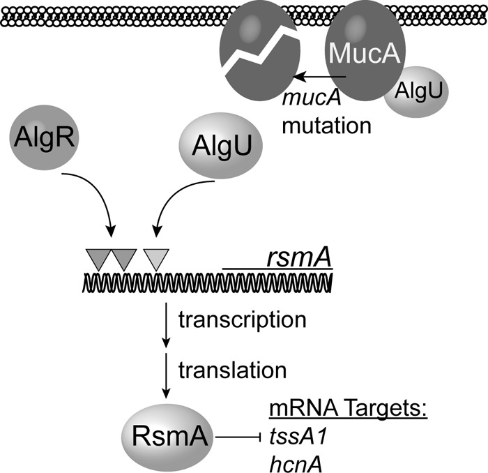 FIG 8