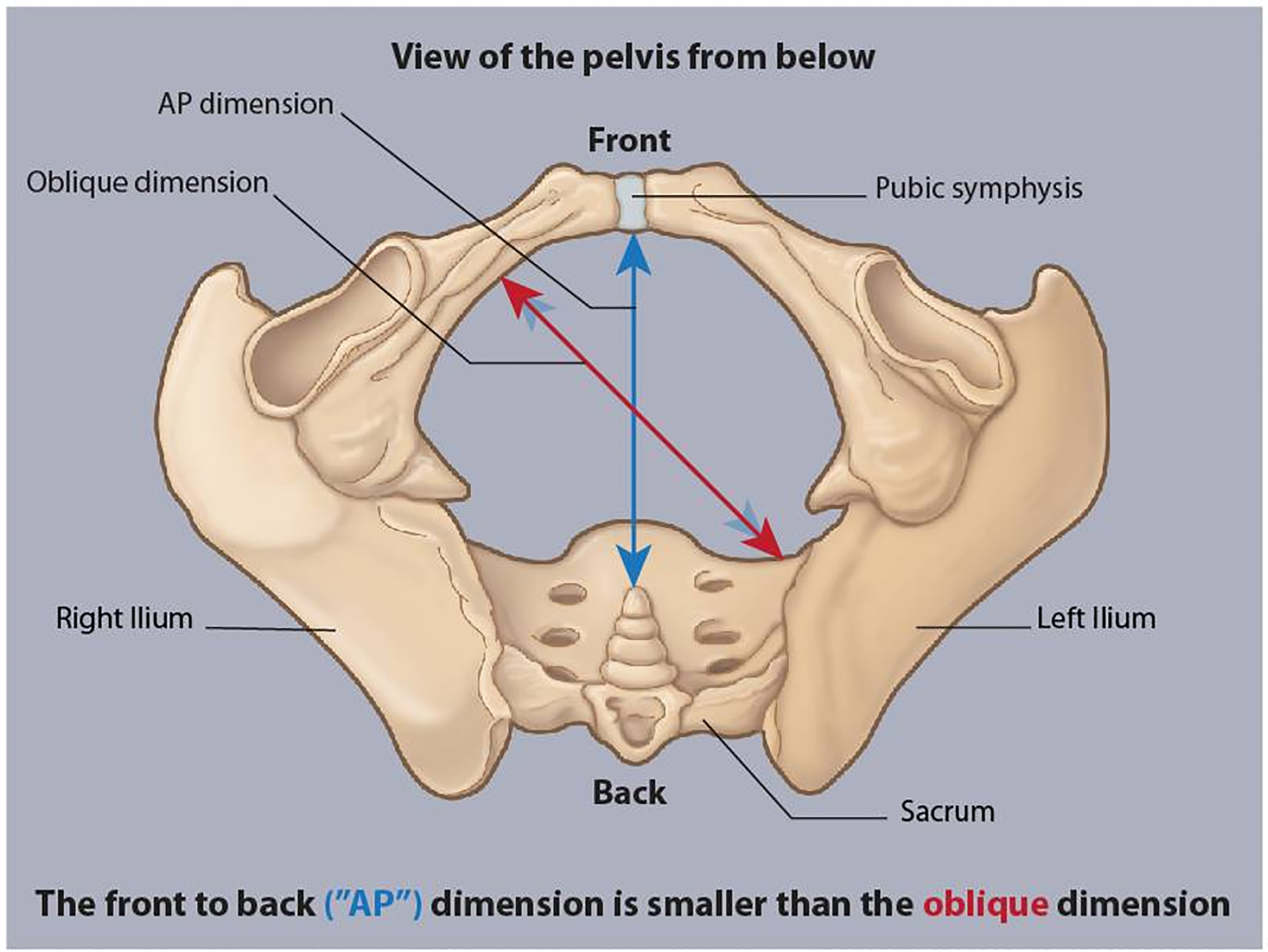 Figure 1: