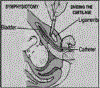 Figure 9: