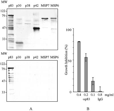 FIG. 7.