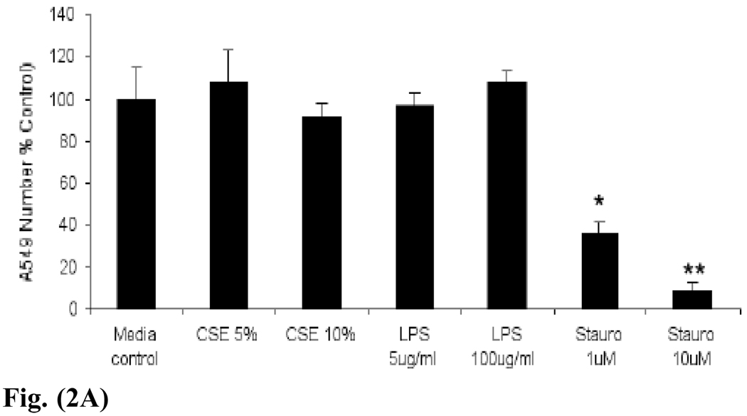 Fig. (2)