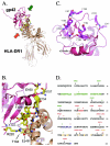 FIG. 1.