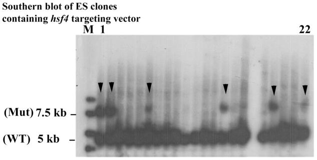 Figure 15-2