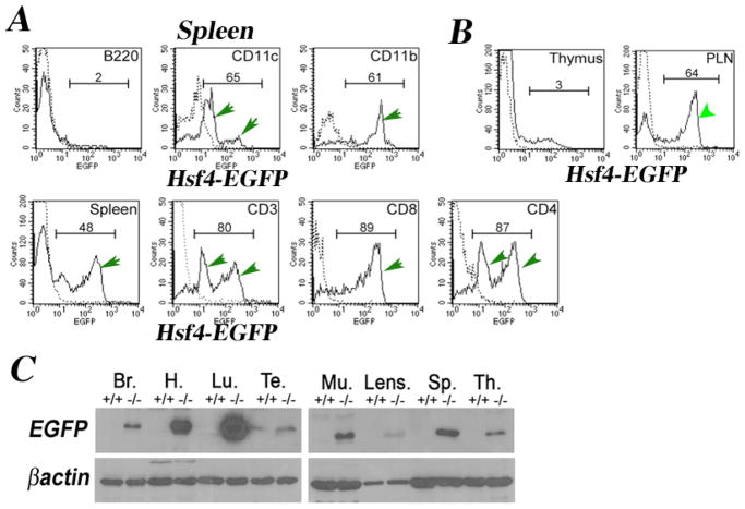 Figure 15-6