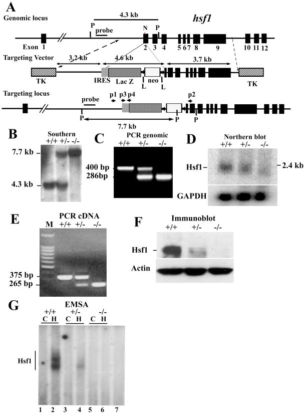 Figure 15-3