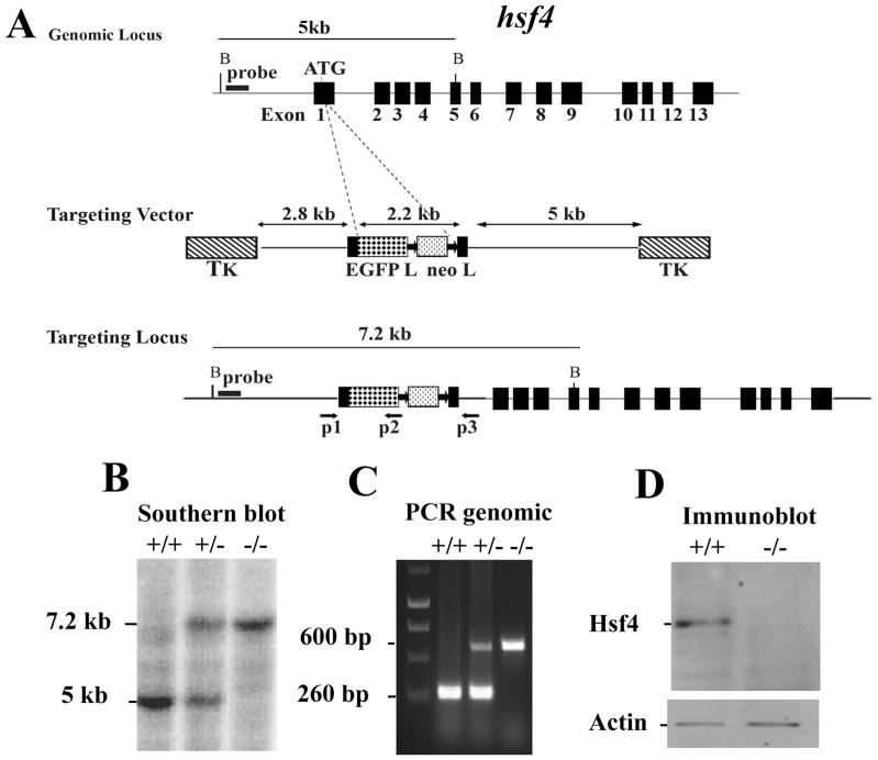 Figure 15-5